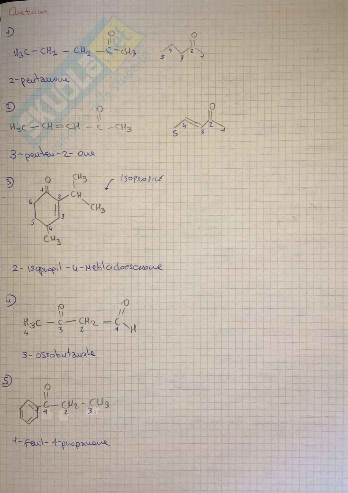 Laboratorio Chimica organica I - Nomenclatura Pag. 31