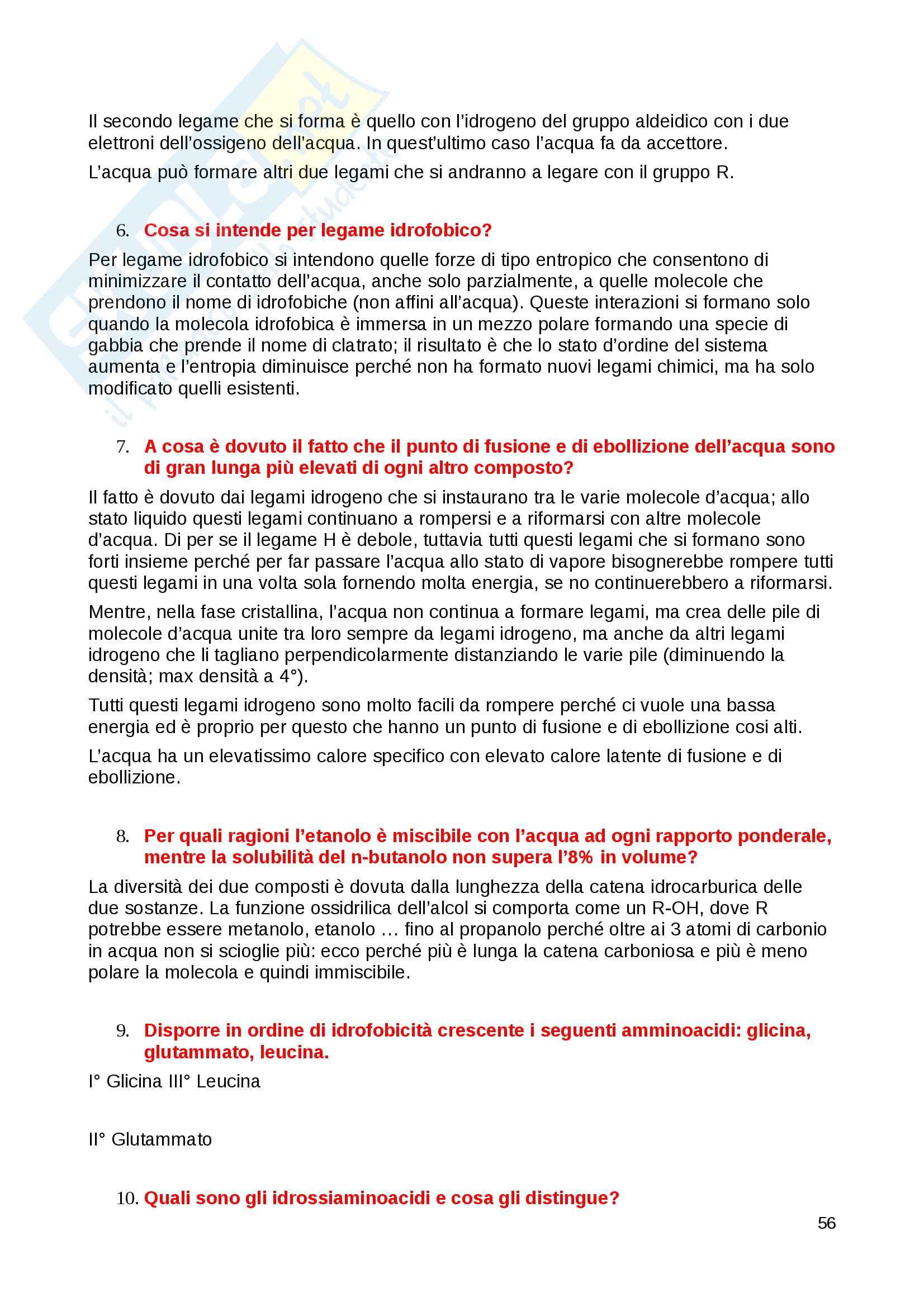 Biochimica generale - Appunti Pag. 56