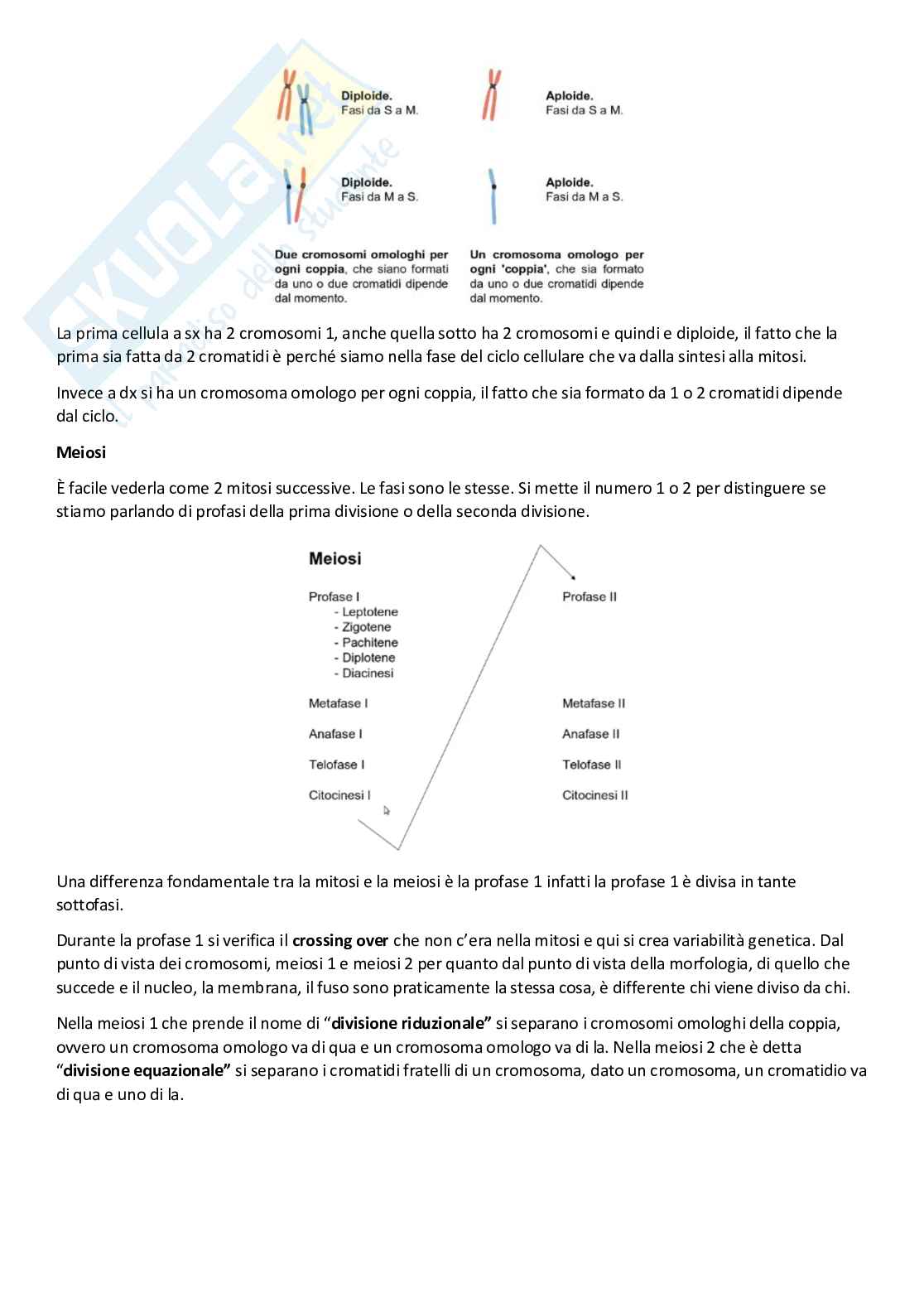  Genetica Pag. 11