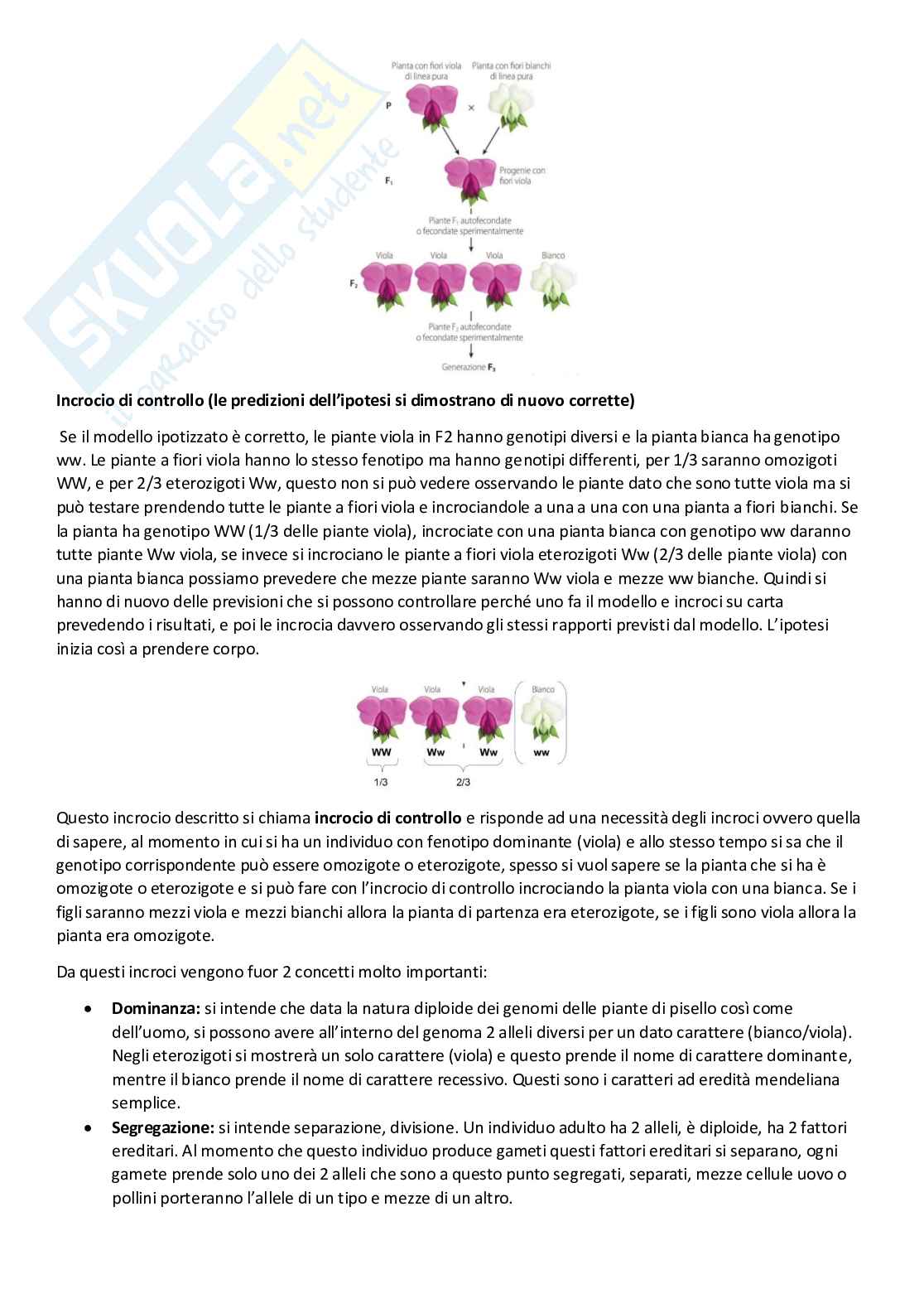  Genetica Pag. 21