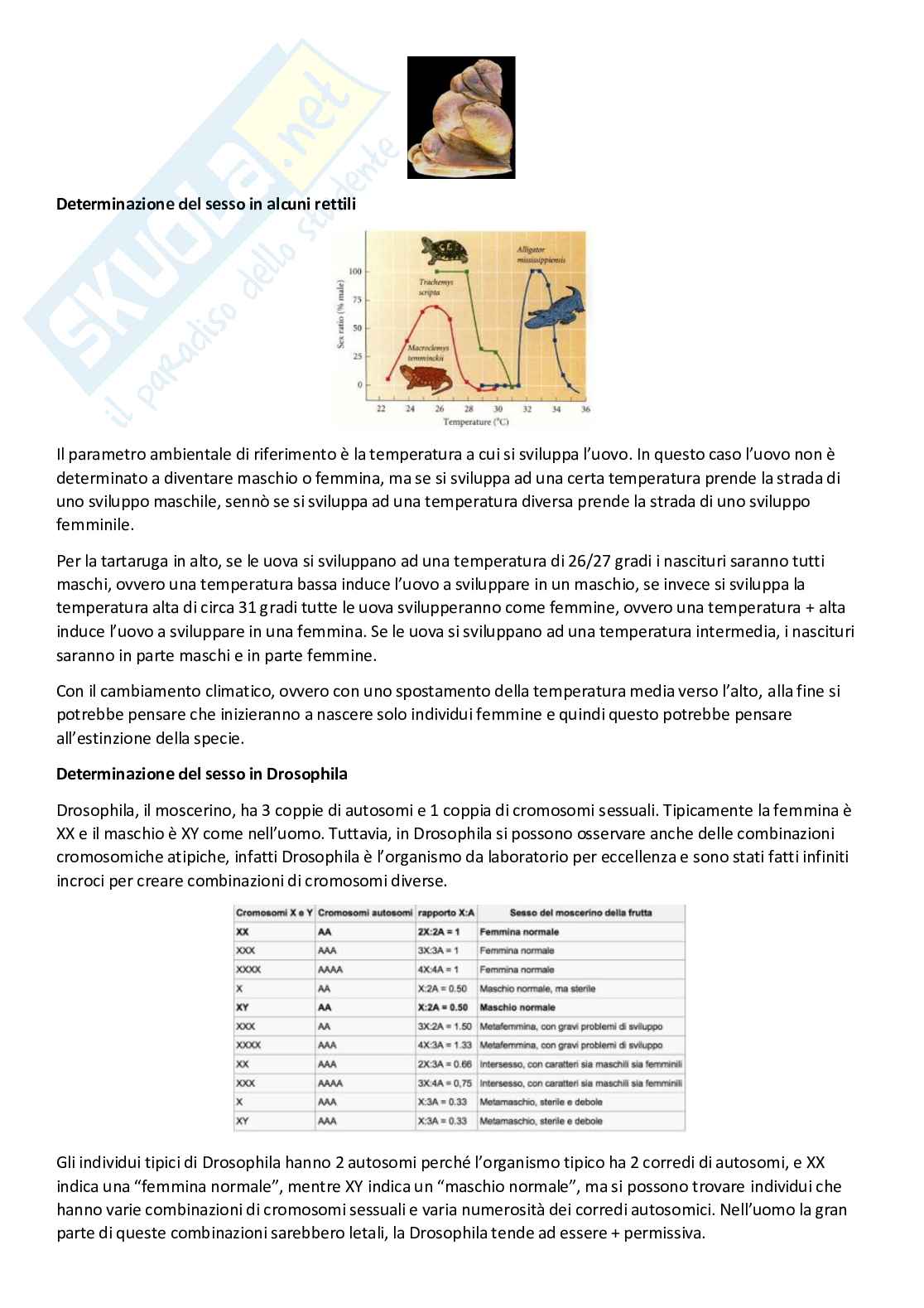  Genetica Pag. 41