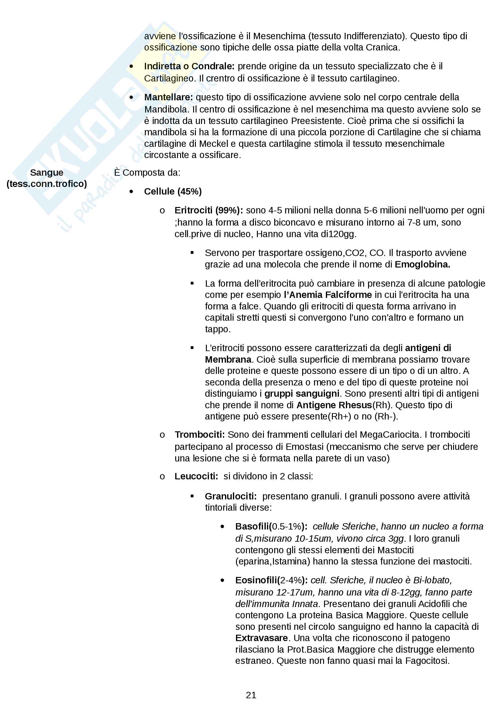 Esame istologia completo Pag. 21