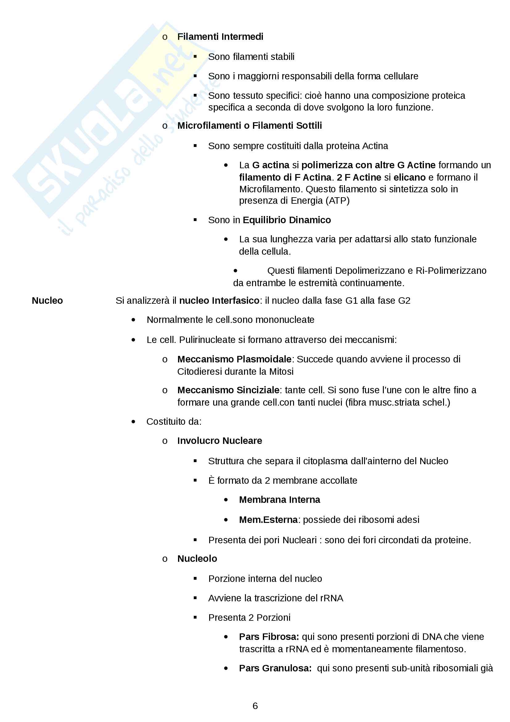 Esame istologia completo Pag. 6