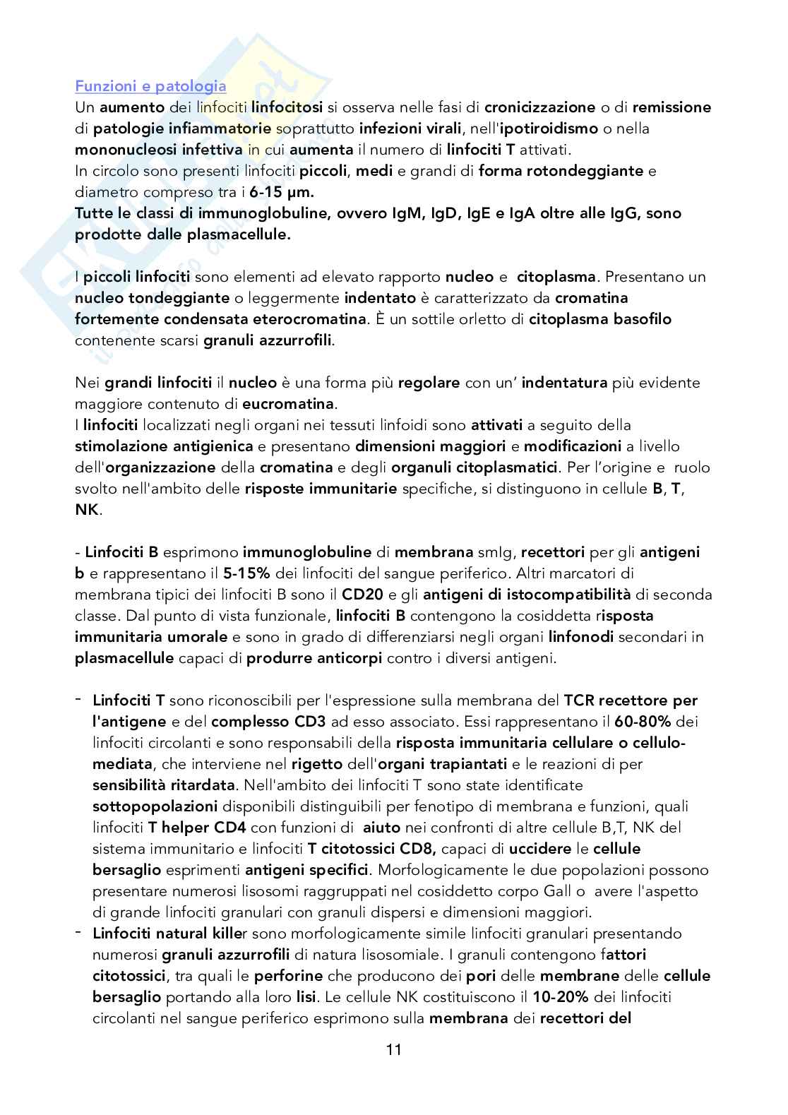 Istologia - Sangue connettivo Pag. 11
