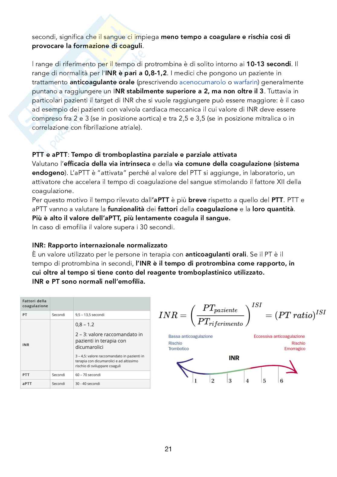 Istologia - Sangue connettivo Pag. 21
