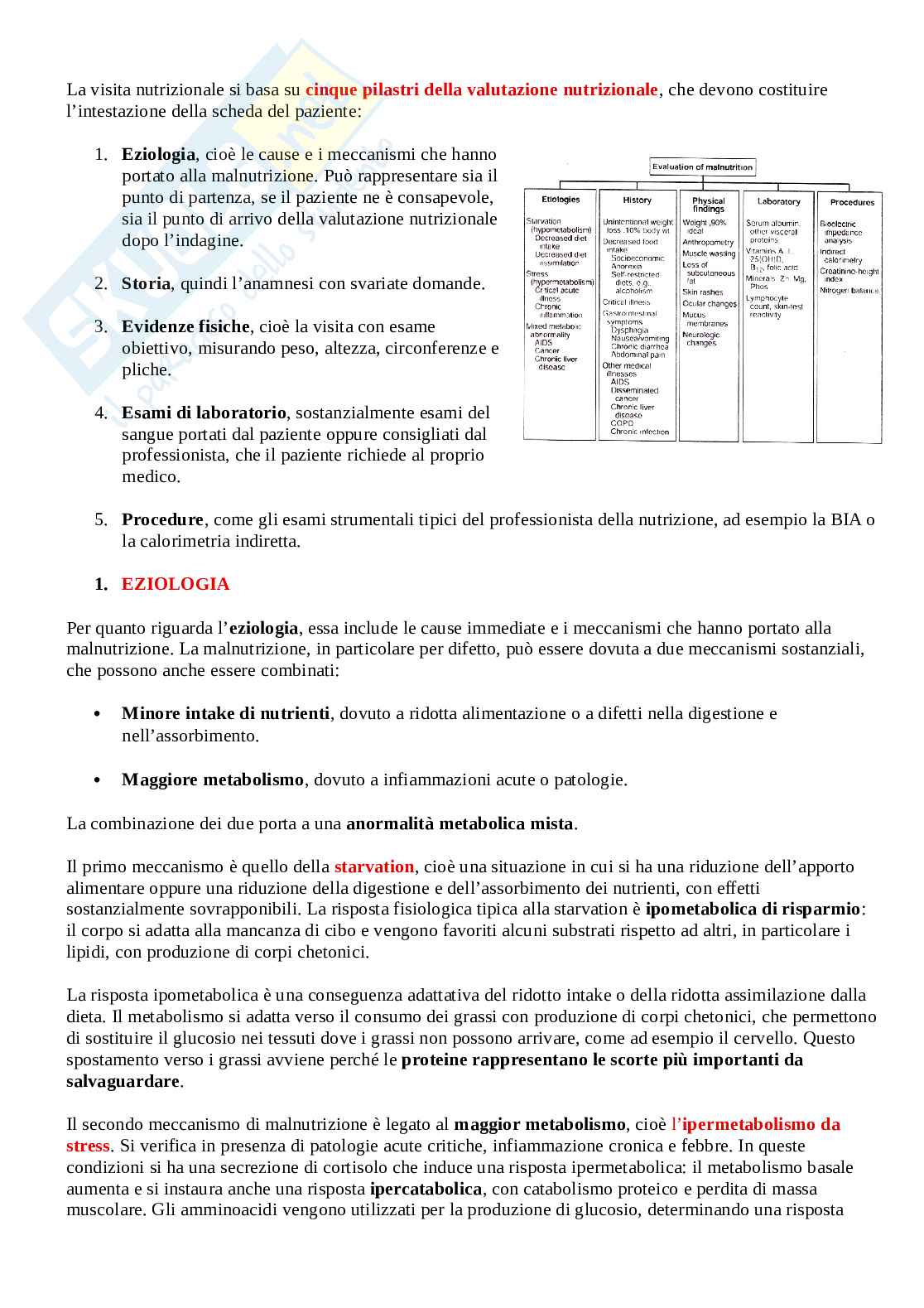 Appunti Valutazione dello stato di nutrizione Pag. 16