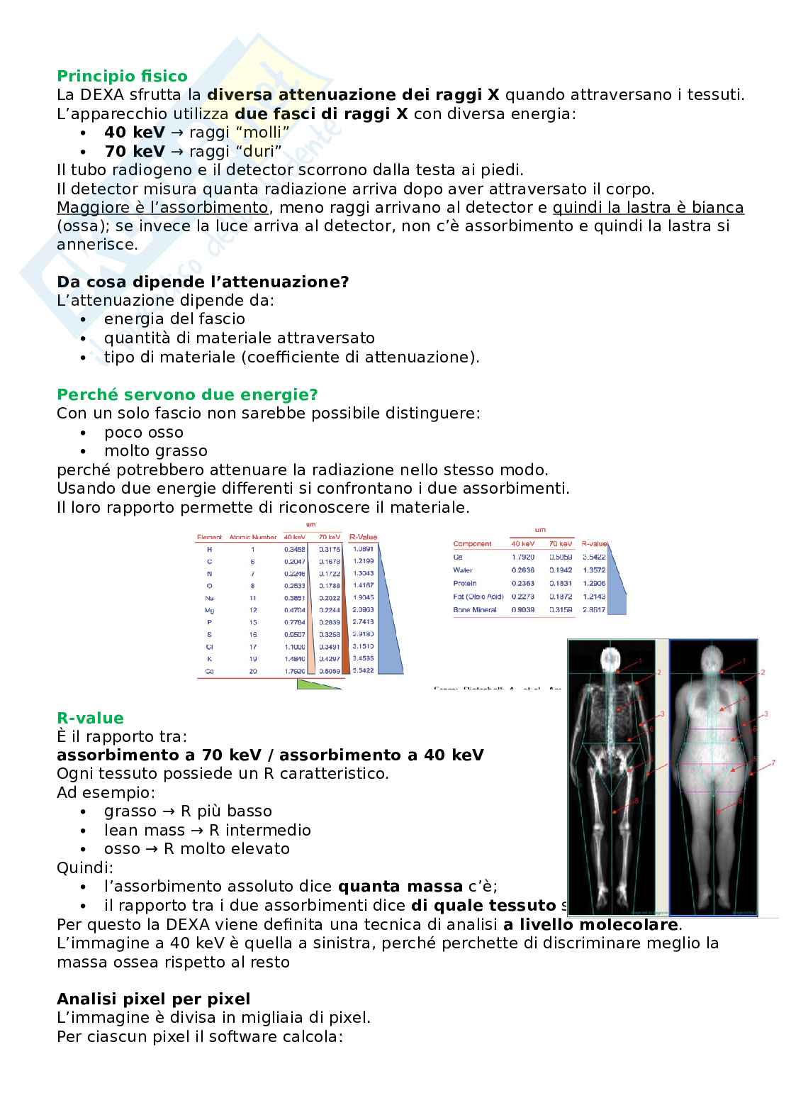 Appunti Valutazione dello stato di nutrizione Pag. 56