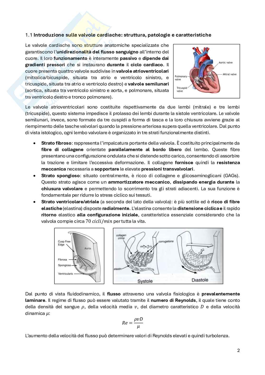 Appunti Dispositivi medicali e diagnostici Pag. 2