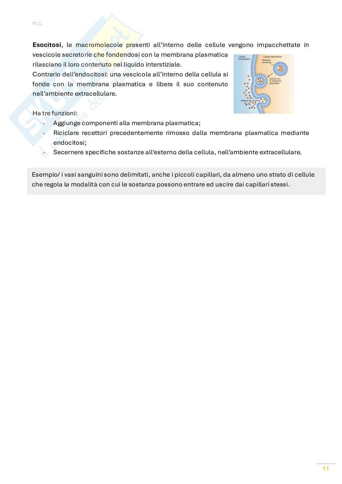 Fisiologia umana Pag. 11