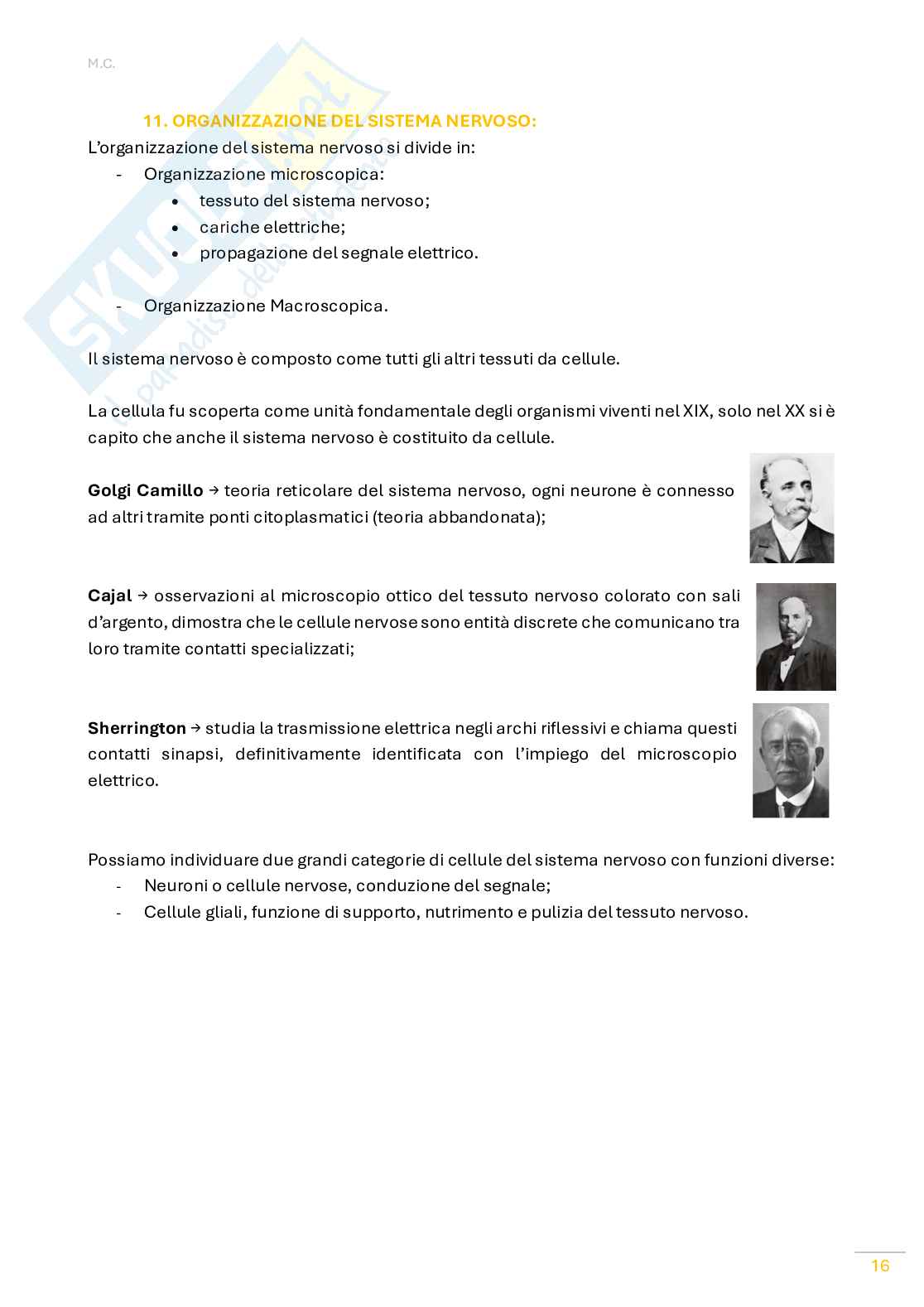 Fisiologia umana Pag. 16