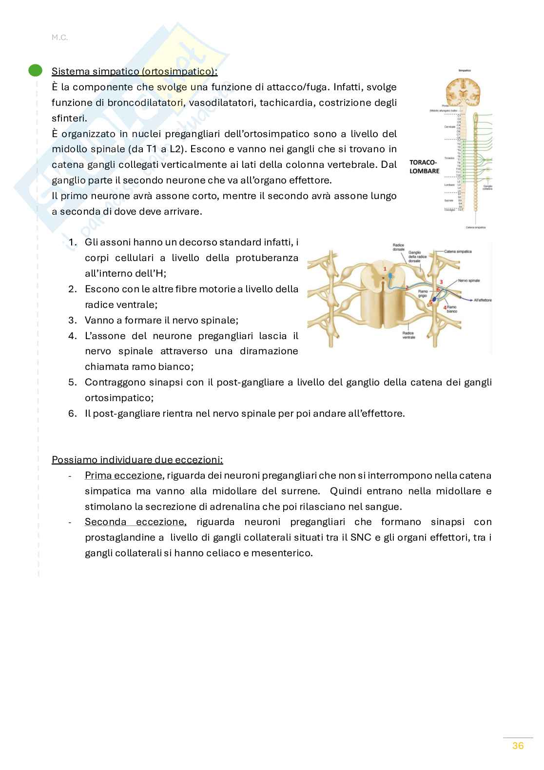 Fisiologia umana Pag. 36
