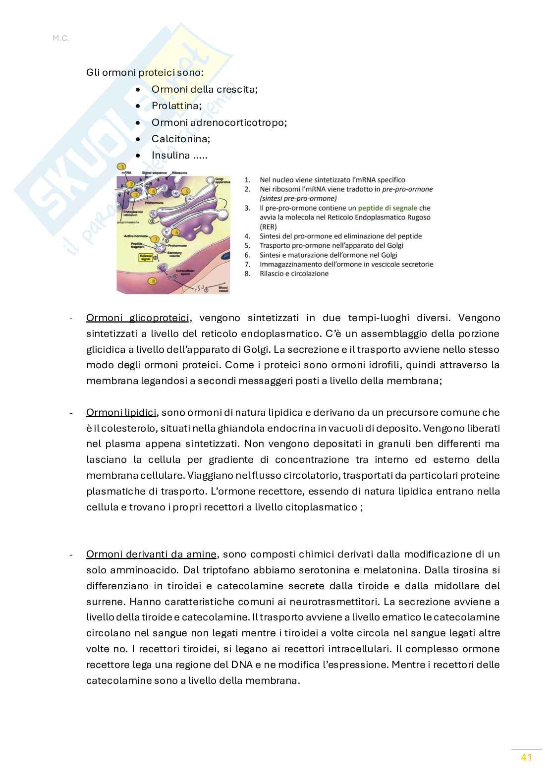 Fisiologia umana Pag. 41
