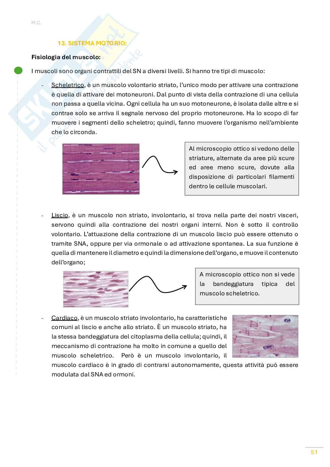 Fisiologia umana Pag. 51