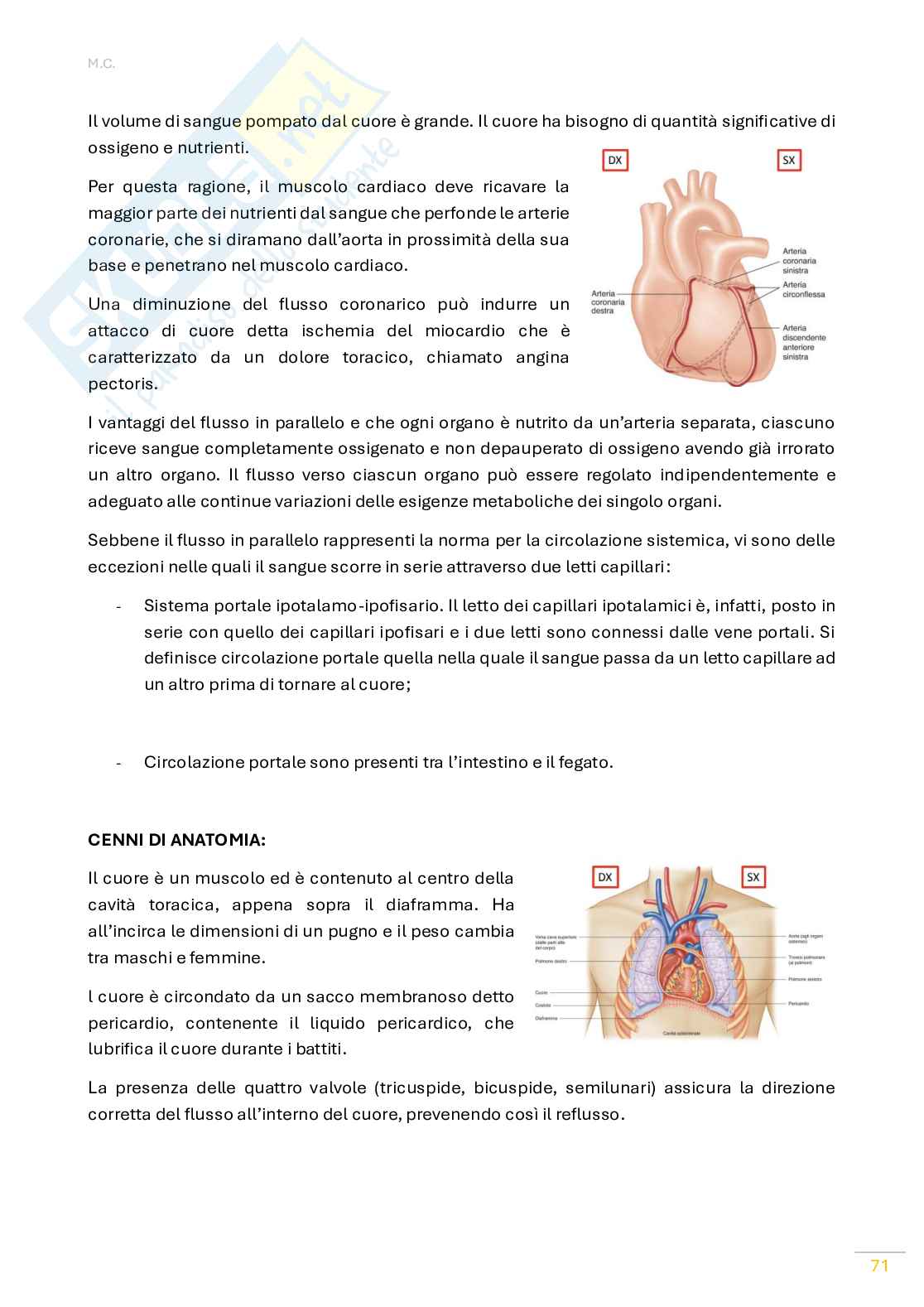Fisiologia umana Pag. 71