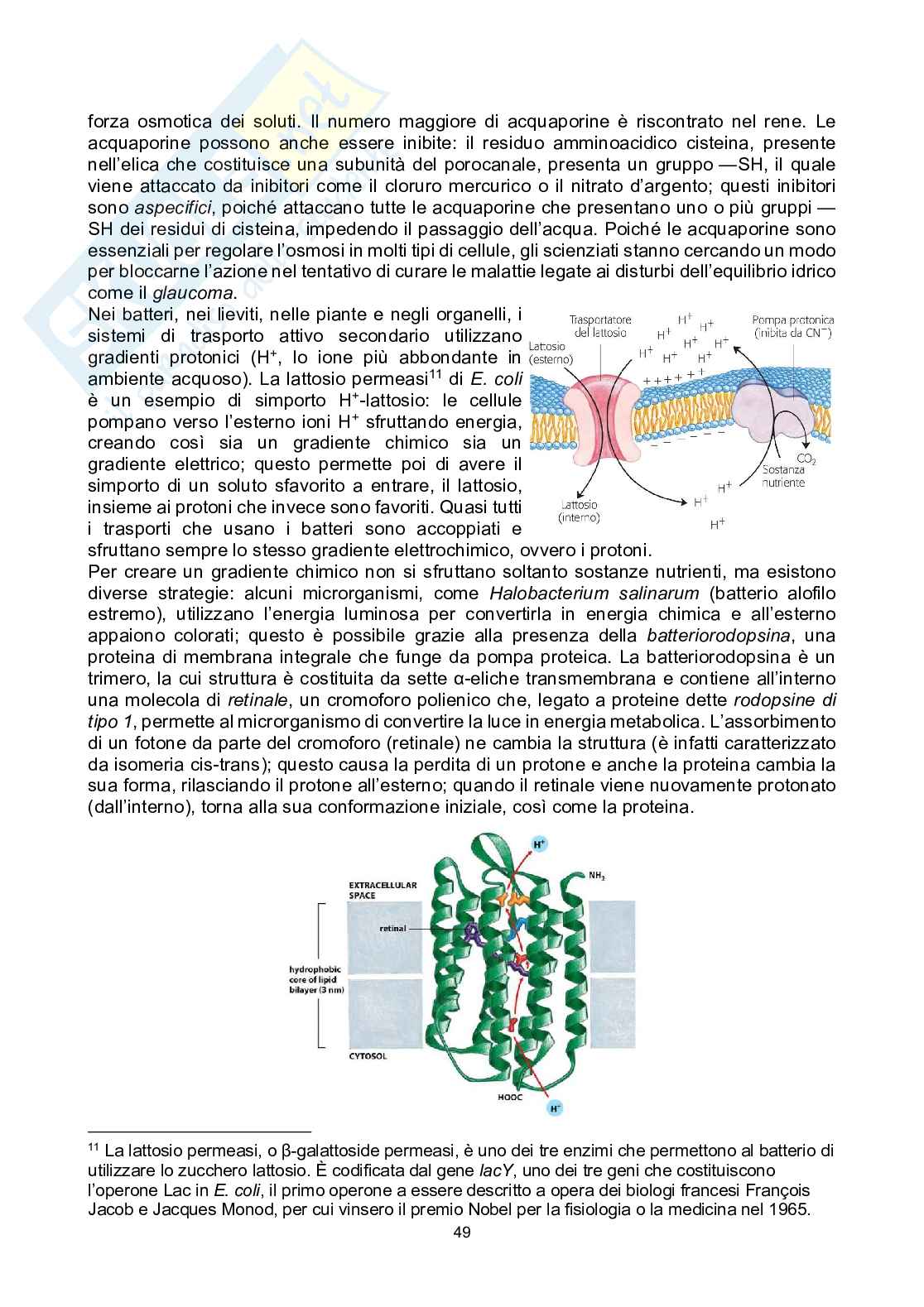Biologia Generale e Cellulare I, Crimi Pag. 51