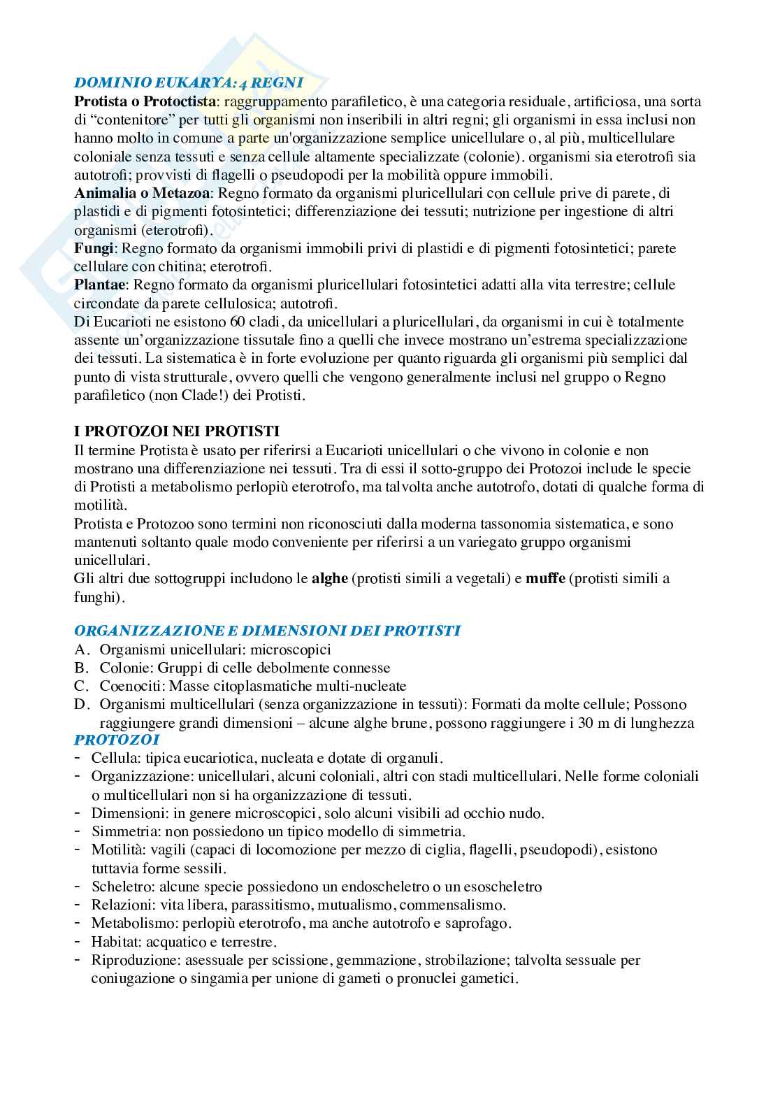 Zoologia  Pag. 26
