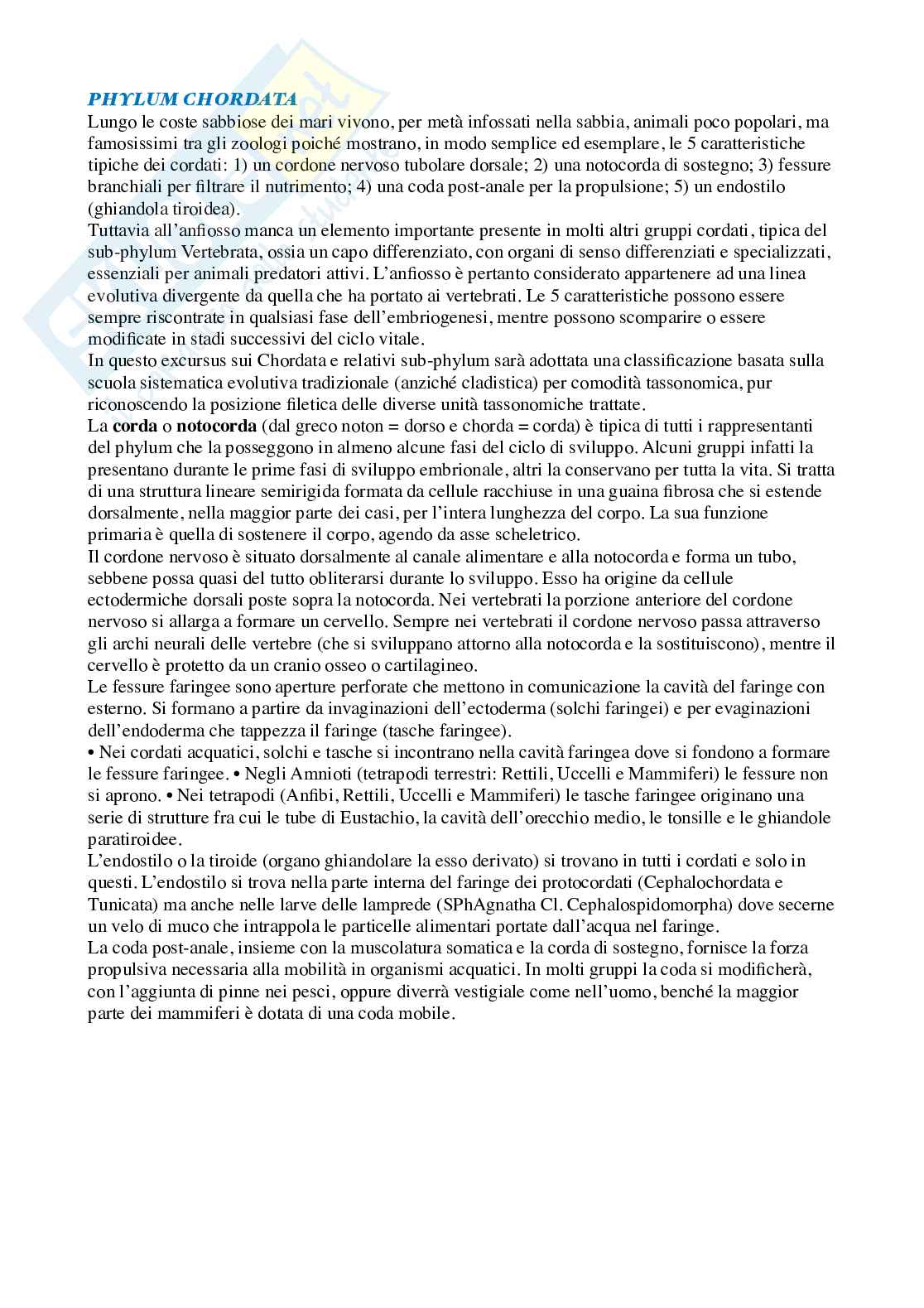 Zoologia  Pag. 86