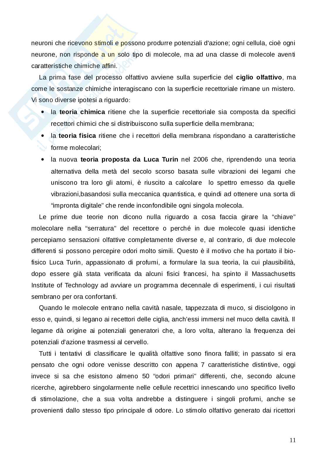 Profumo e odore Pag. 11