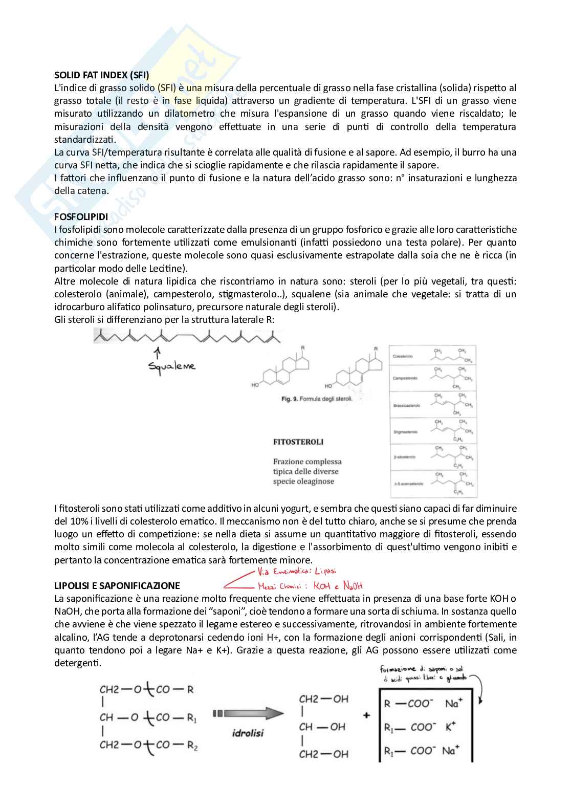 Lipidi Pag. 6