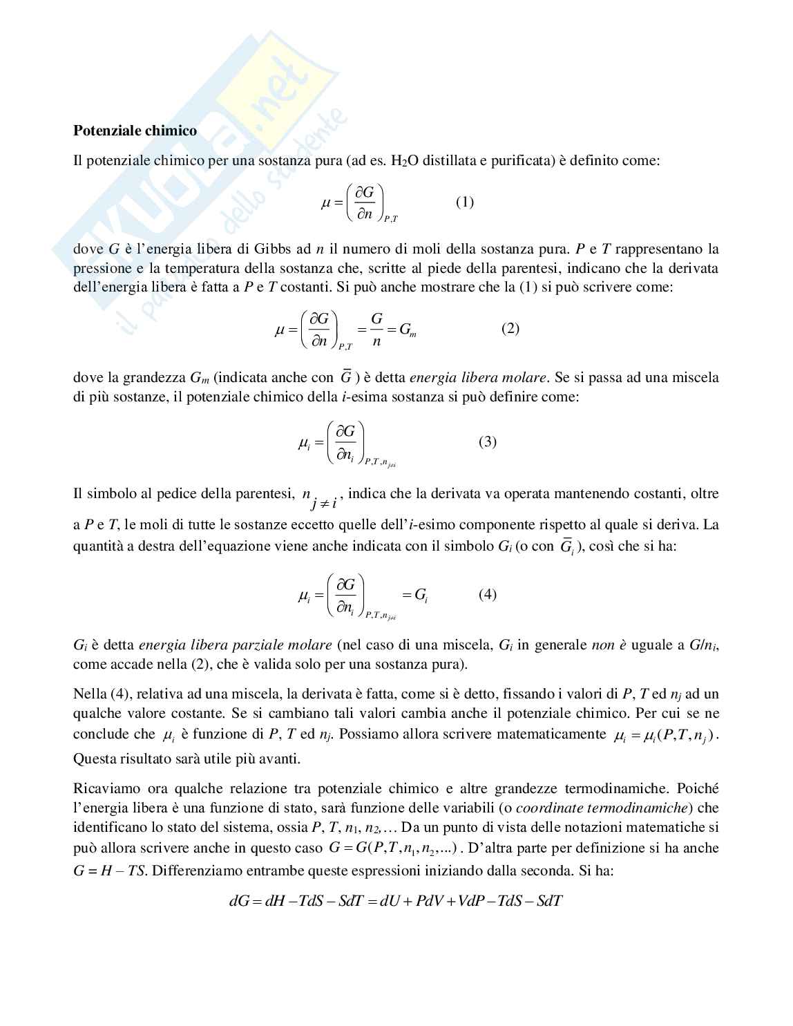 Potenziale chimico Pag. 1