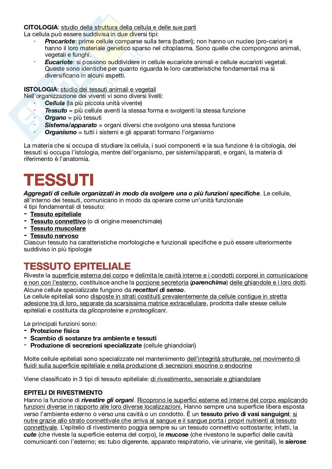 Appunti Istologia Pag. 1