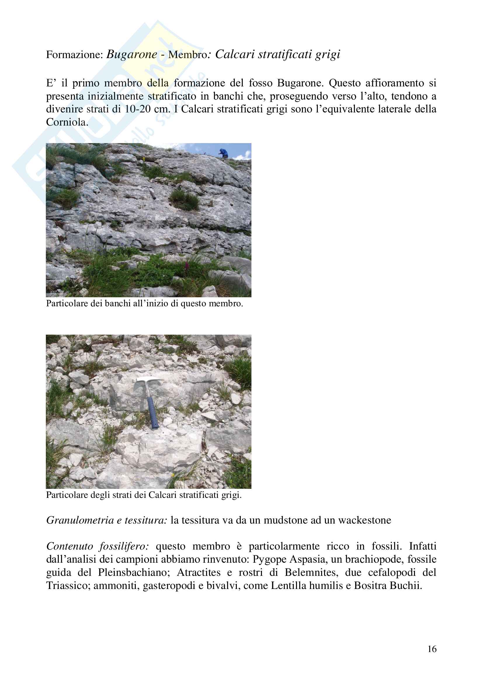 Relazione geologica e paleontologica di Piobbico Pag. 16