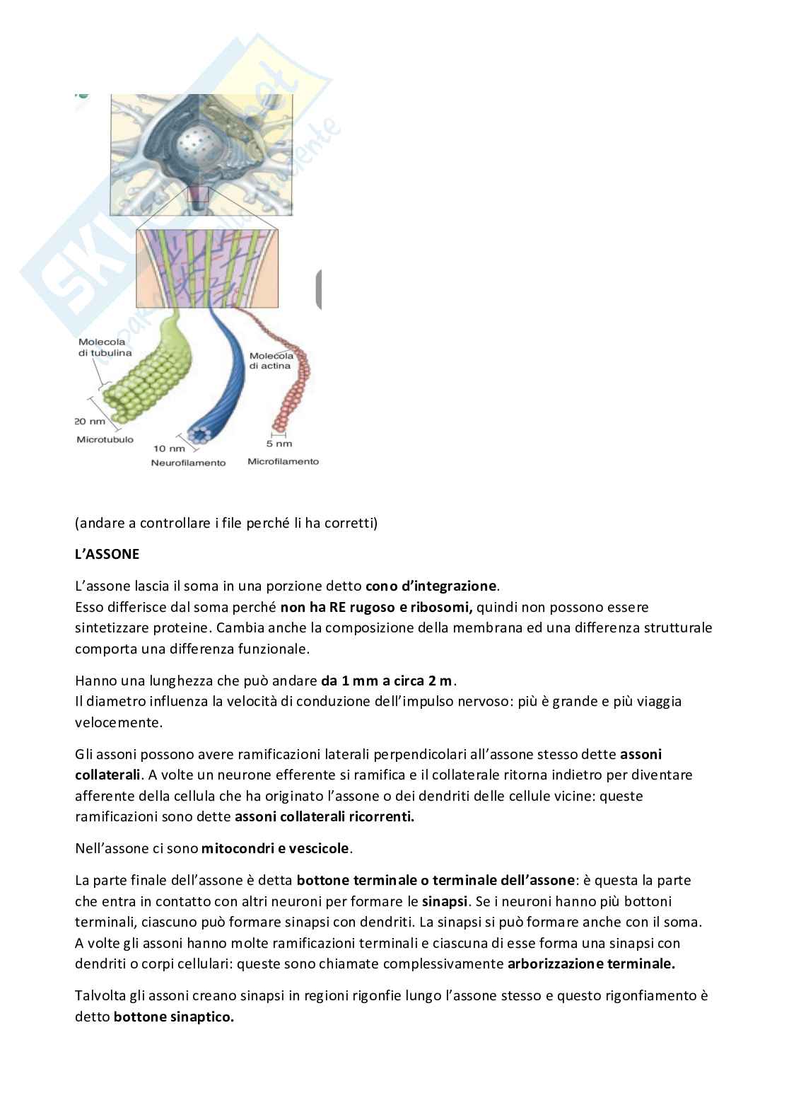 Appunti Psicolobiologia 1 Pag. 11