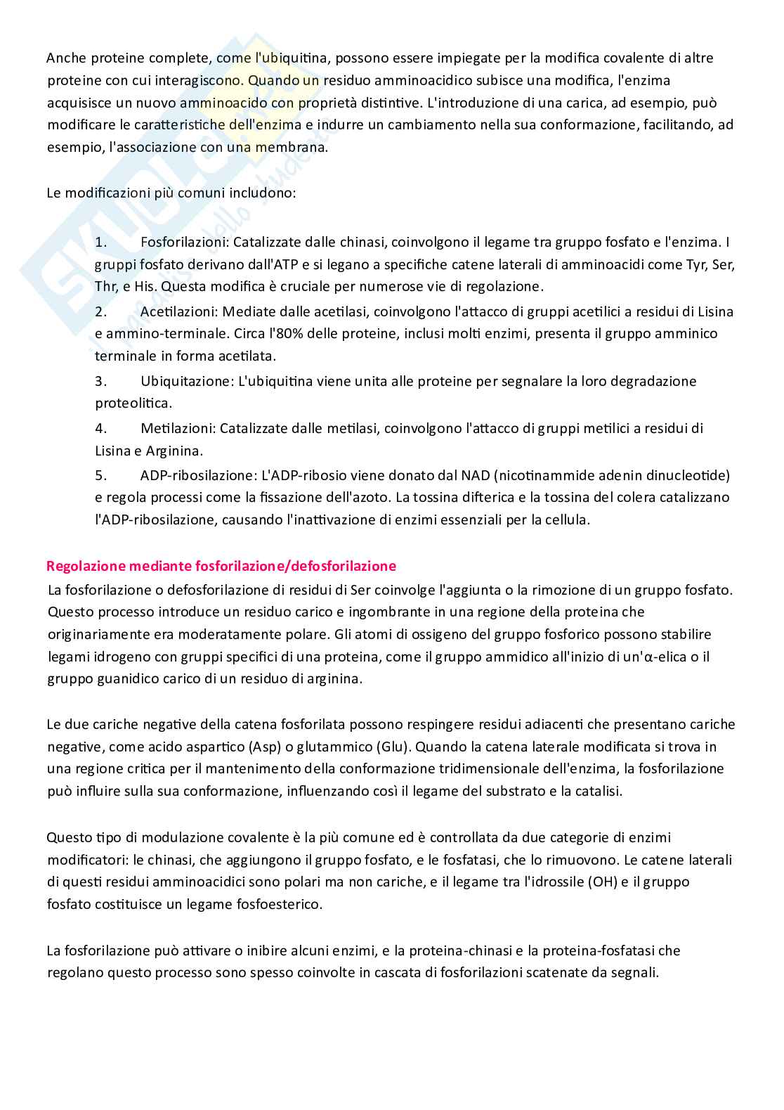 Riassunto esame Biochimica, Prof. Fais Antonella, libro consigliato I principi di Biochimica di Lehninger, Nelson e Cox Pag. 31
