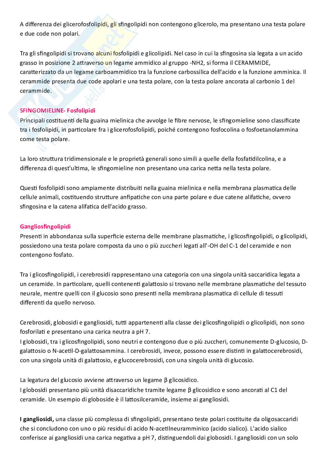 Riassunto esame Biochimica, Prof. Fais Antonella, libro consigliato I principi di Biochimica di Lehninger, Nelson e Cox Pag. 61