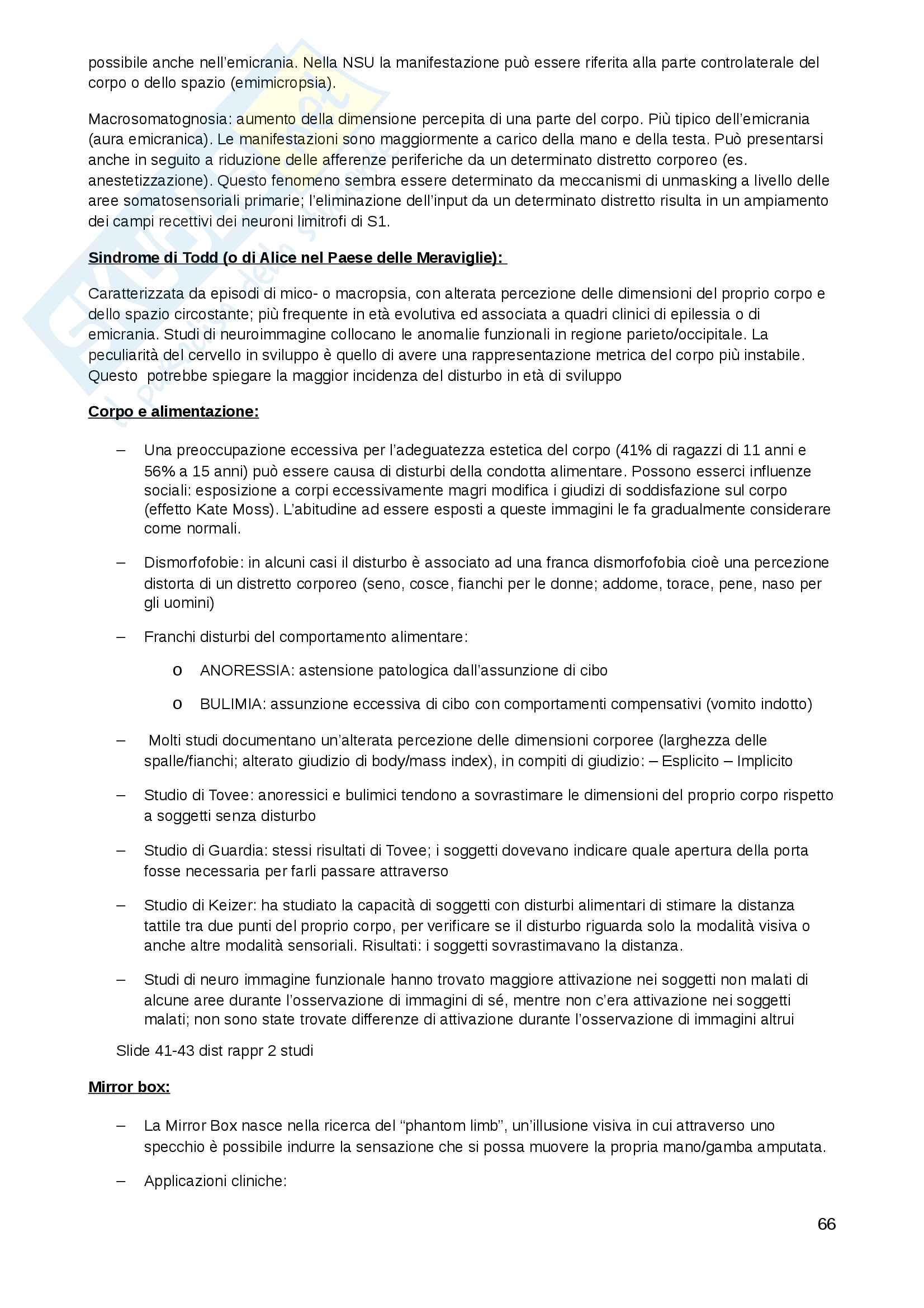 Esame di Psicobiologia dei disturbi comportamentali, prof Papagno Pag. 66