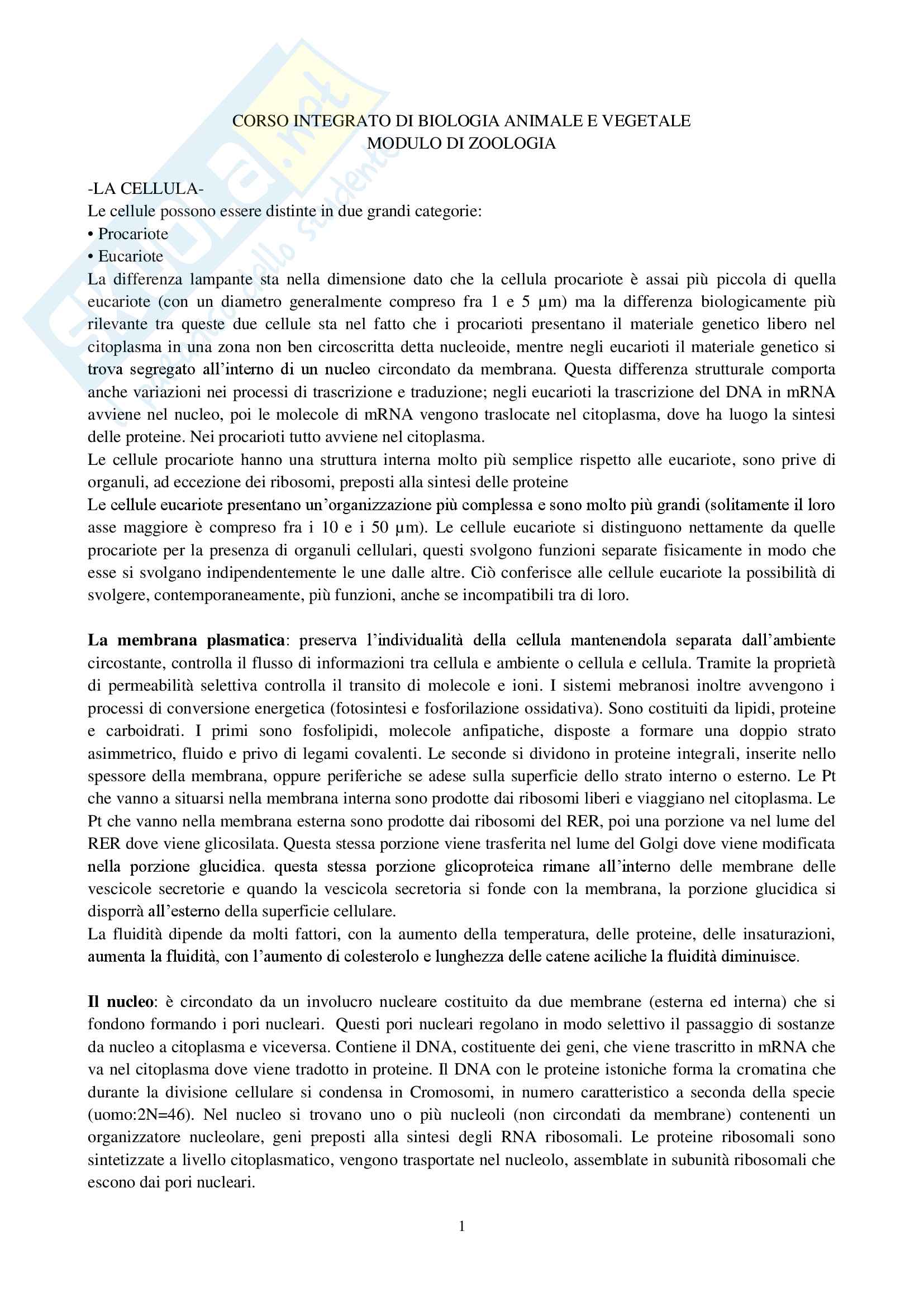 Appunti di zoologia Pag. 1