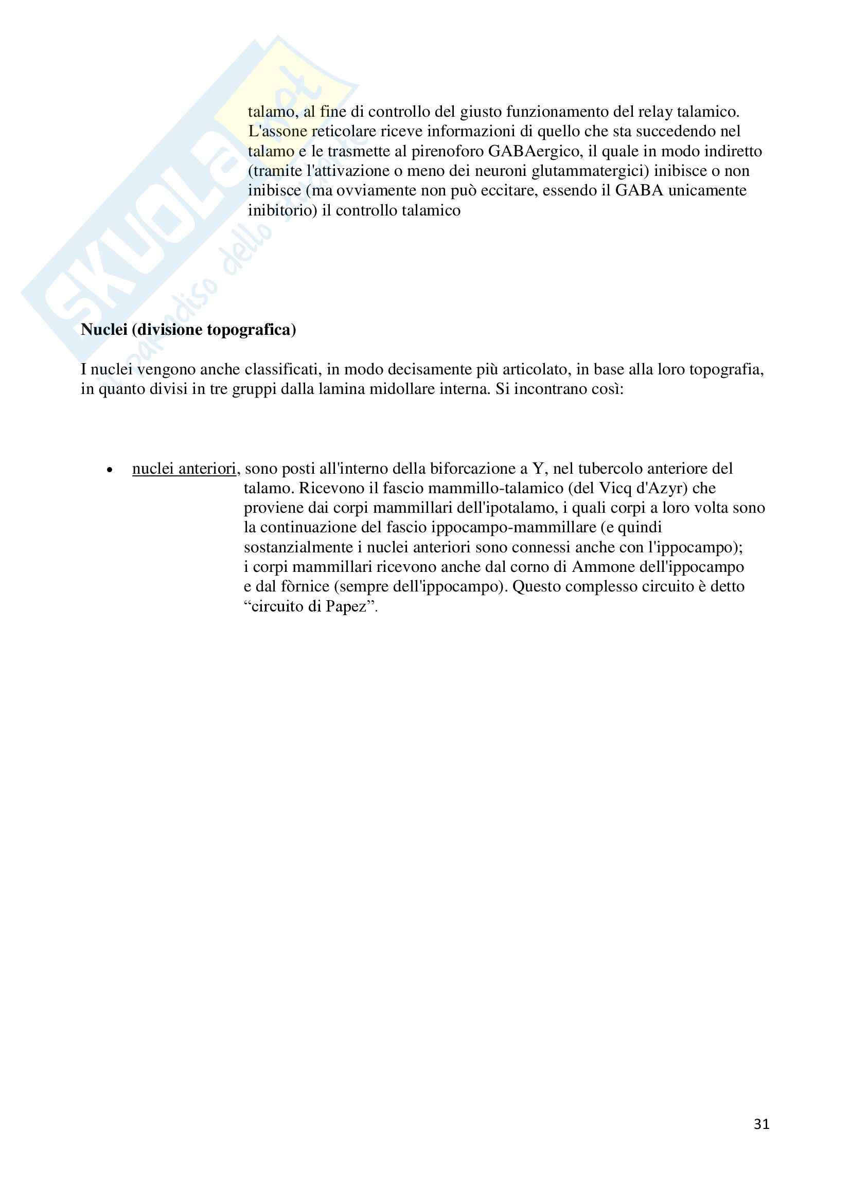 Sistema Nervoso Centrale, Anatomia Pag. 31