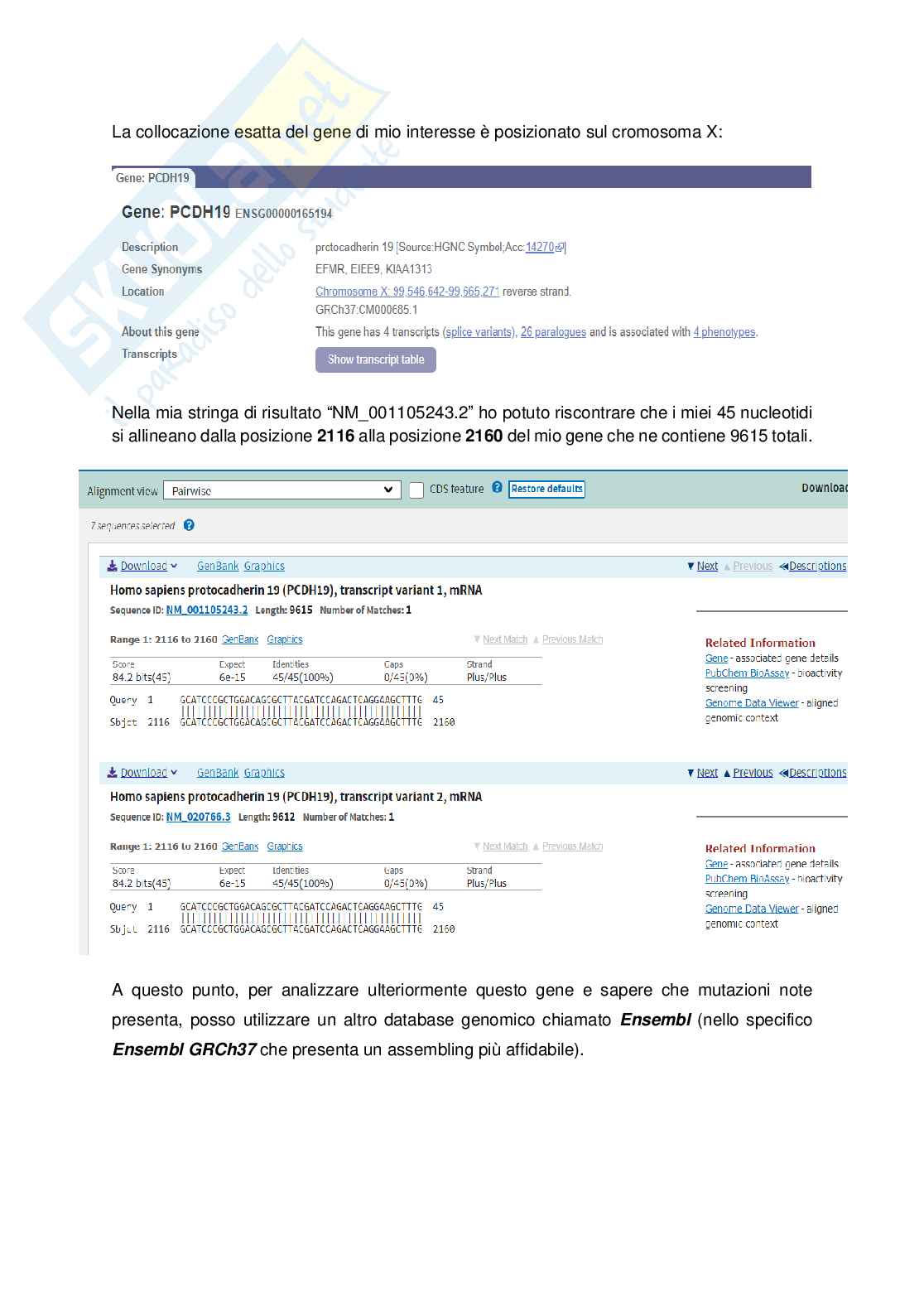 Relazione di Laboratorio di Biologia Molecolare Pag. 2