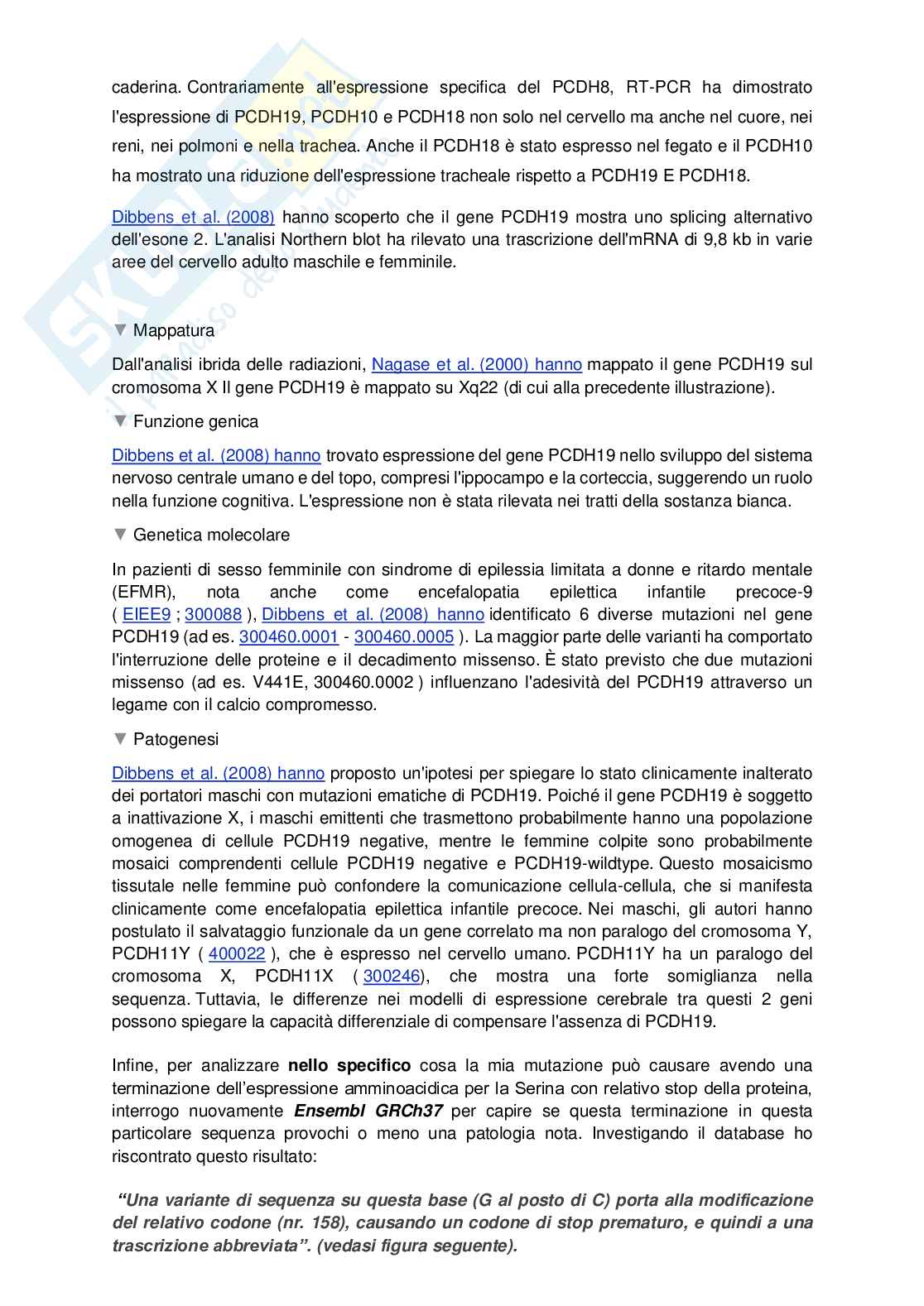 Quante Volte Vedersi In Una Relazione
