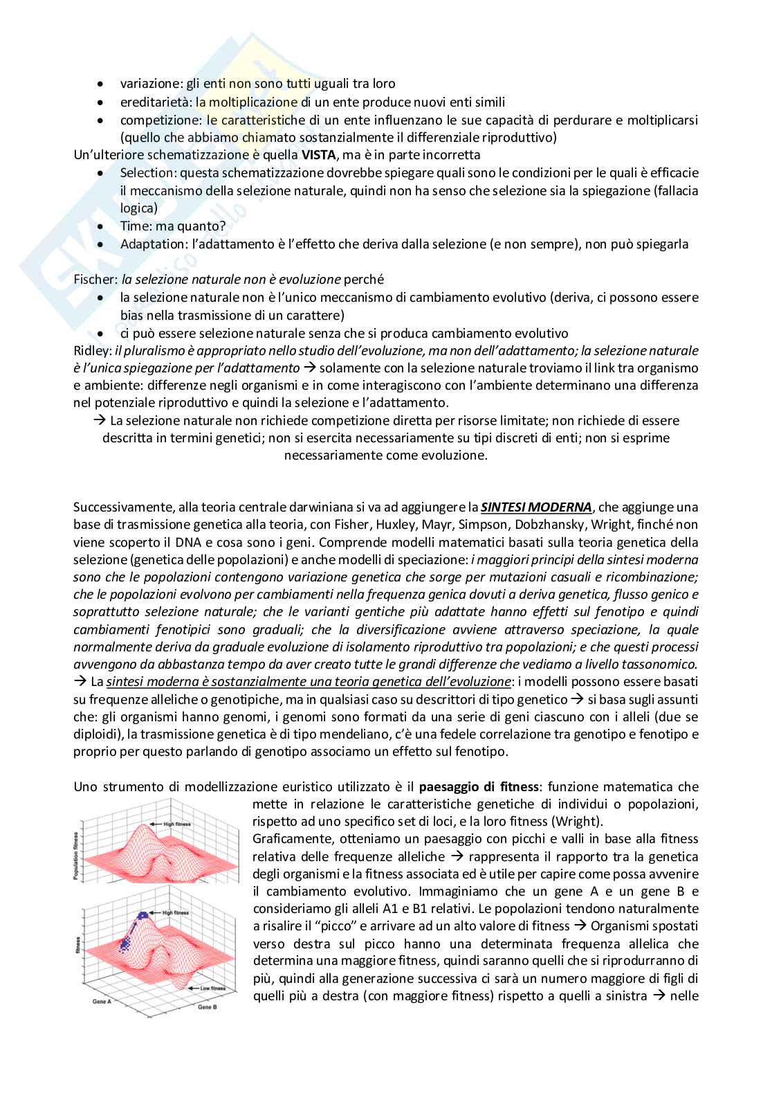 Appunti completi di Teoria dell'evoluzione Pag. 11