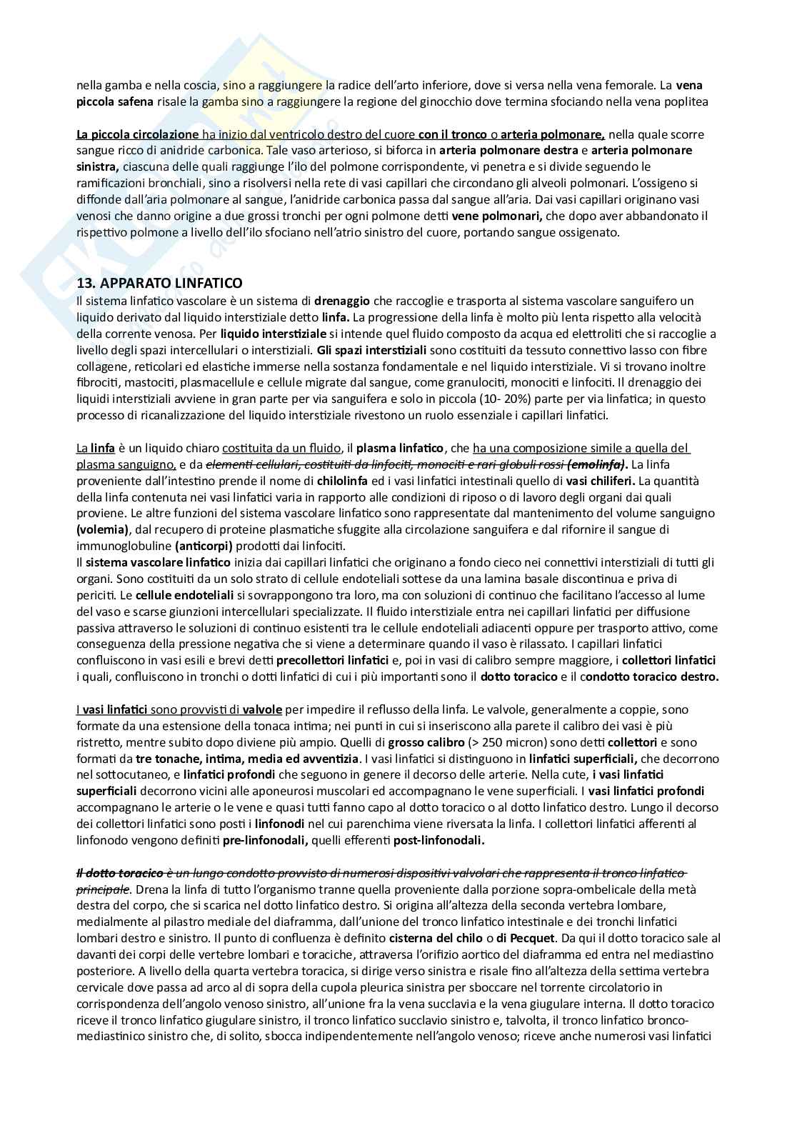 Anatomia umana Pag. 66