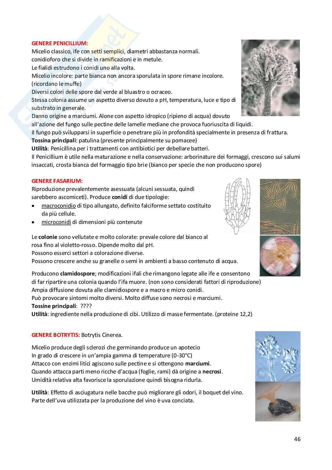 Protezione degli alimenti Pag. 46