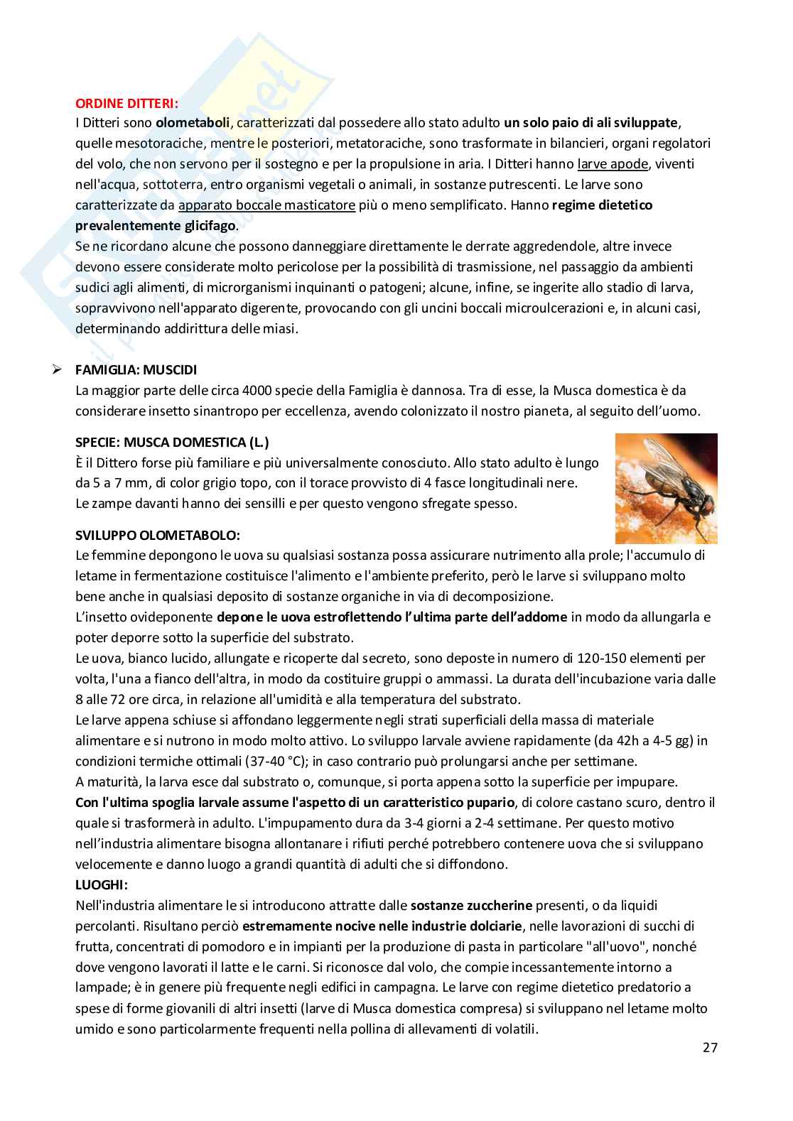 Protezione degli alimenti Pag. 91