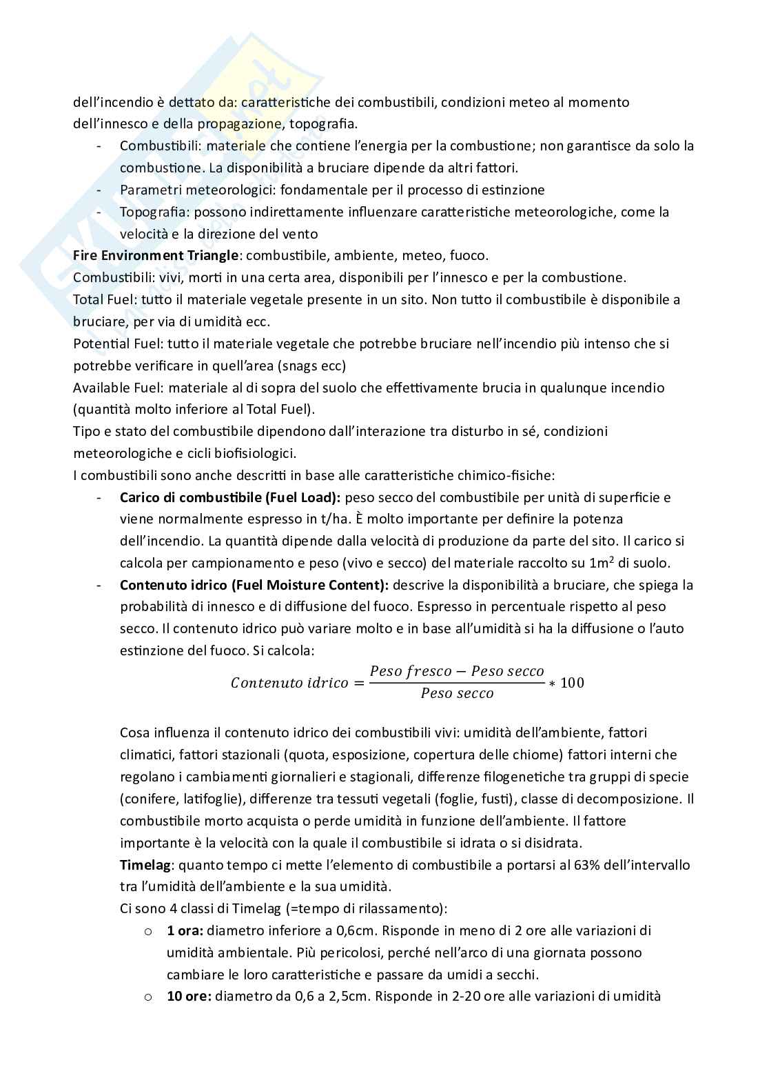 Ecologia dei disturbi abiotici in foresta Pag. 16