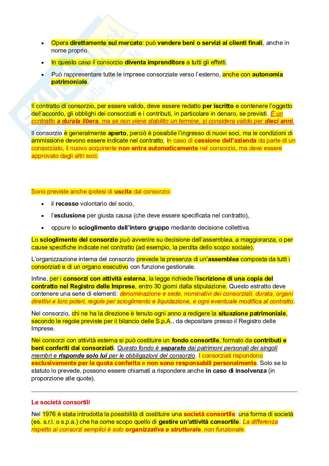 Appunti lezioni Diritto commerciale Pag. 21