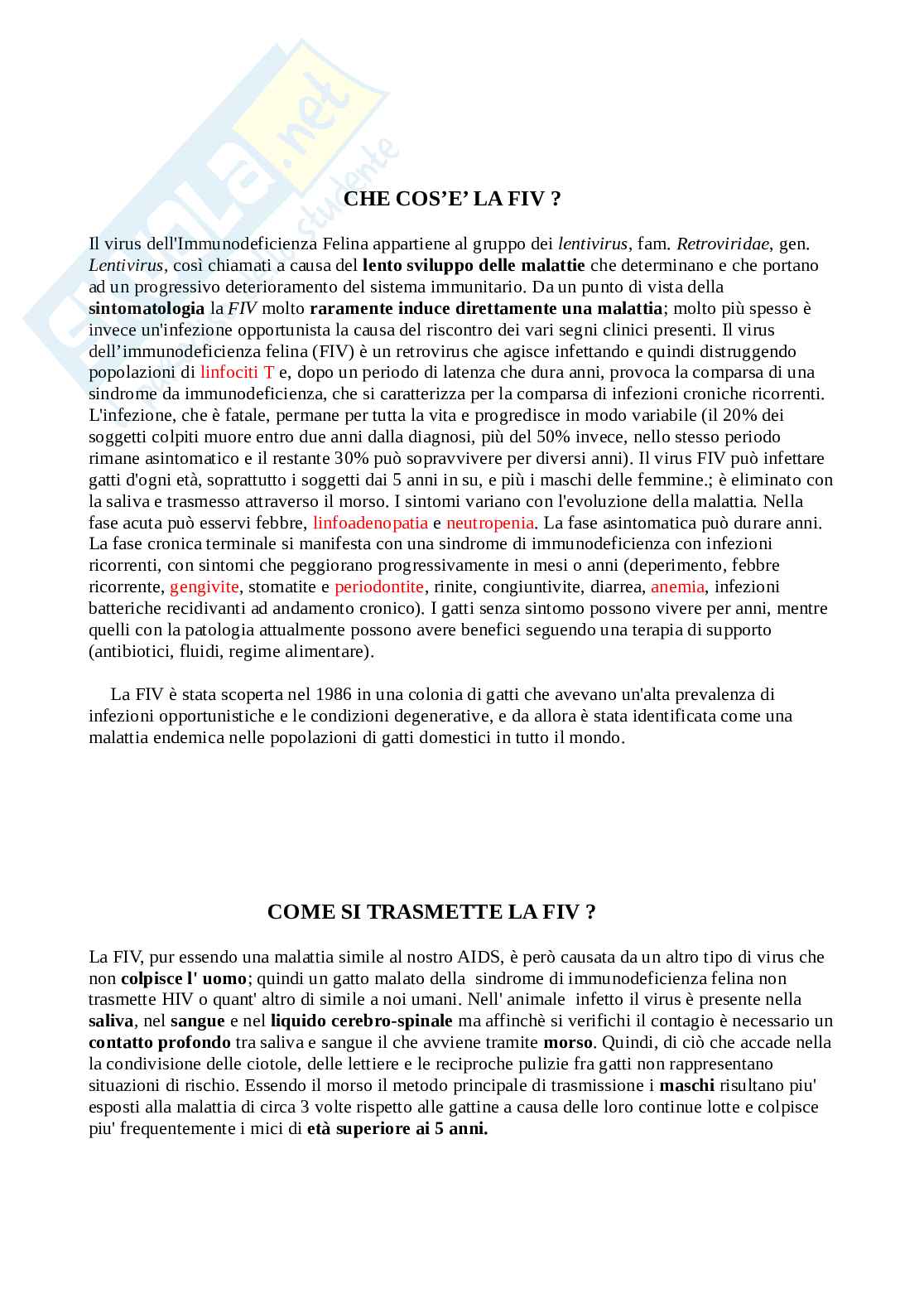 FIV: il virus dell'immunodeficienza felina Pag. 2