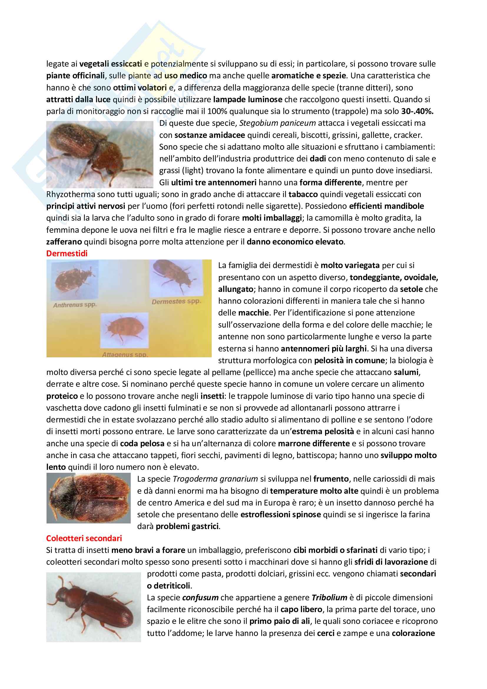Infestanti Pag. 21