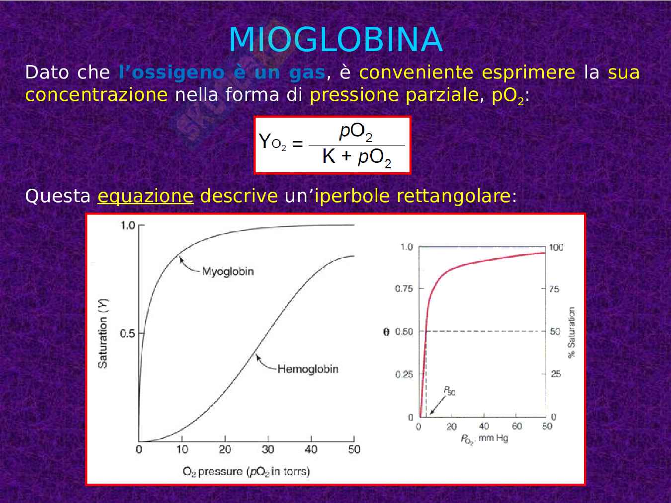 Mioglobina ed Emoglobina Pag. 11