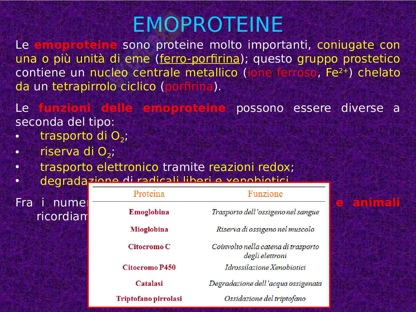 Mioglobina ed Emoglobina Pag. 2