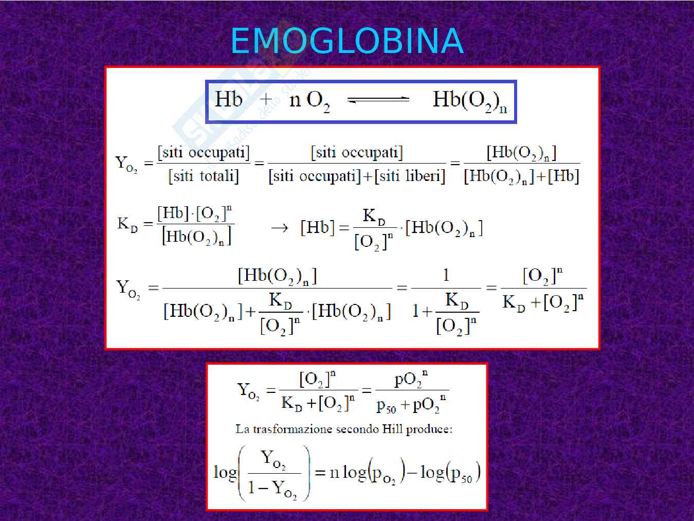 Mioglobina ed Emoglobina Pag. 21