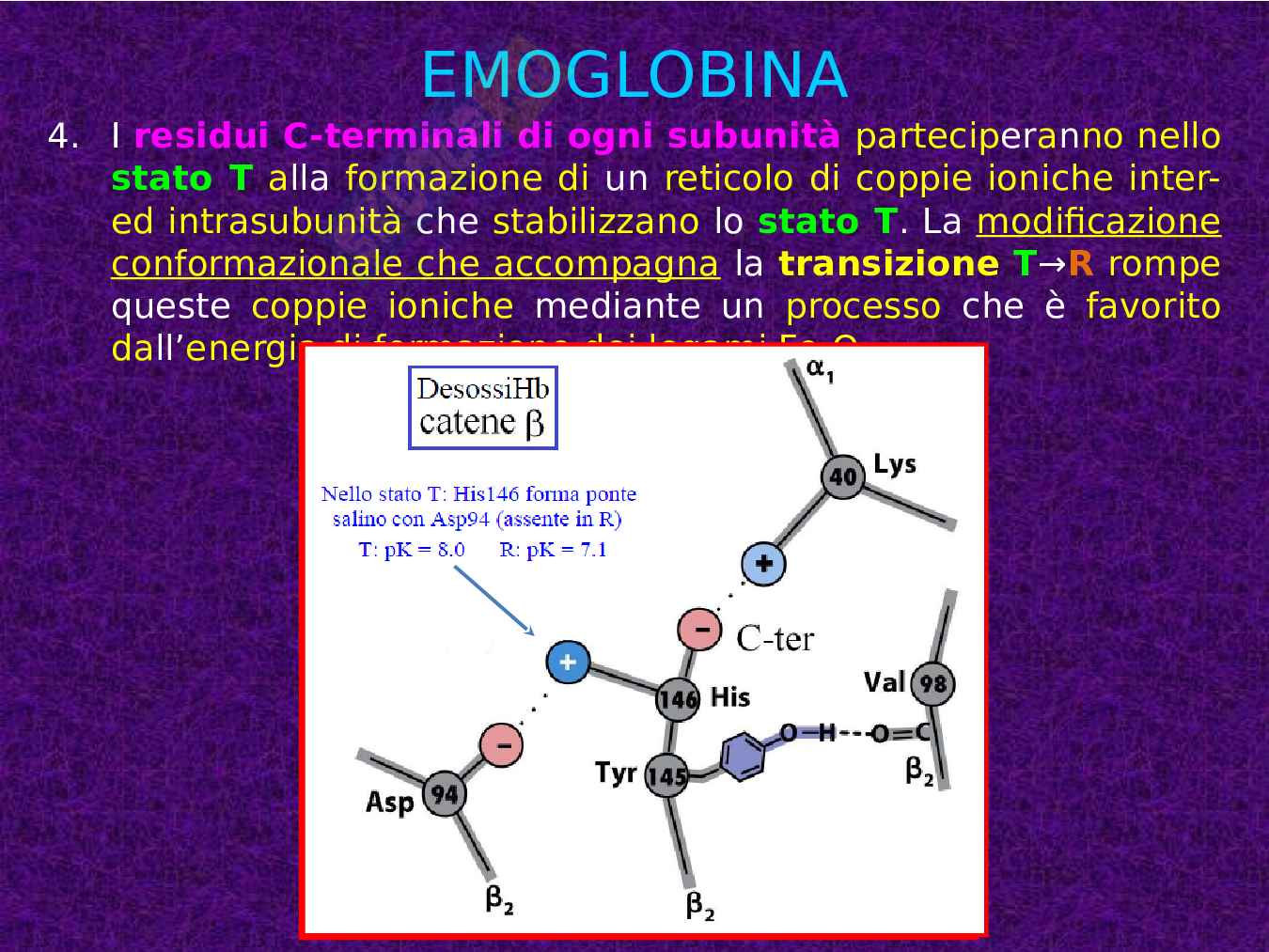 Mioglobina ed Emoglobina Pag. 26