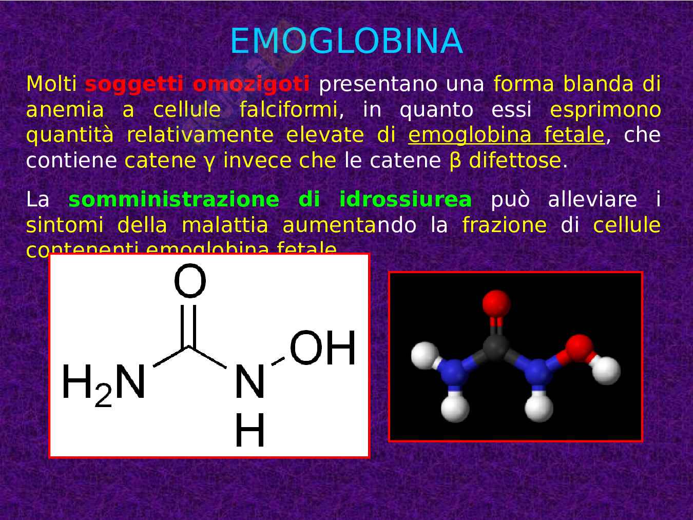Mioglobina ed Emoglobina Pag. 46
