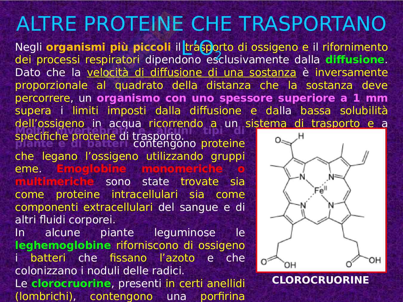 Mioglobina ed Emoglobina Pag. 51