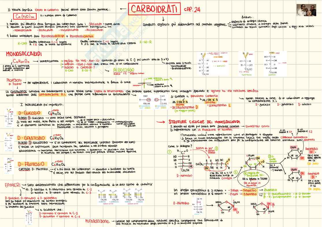 Appunti Propedeutica biochimica Pag. 1