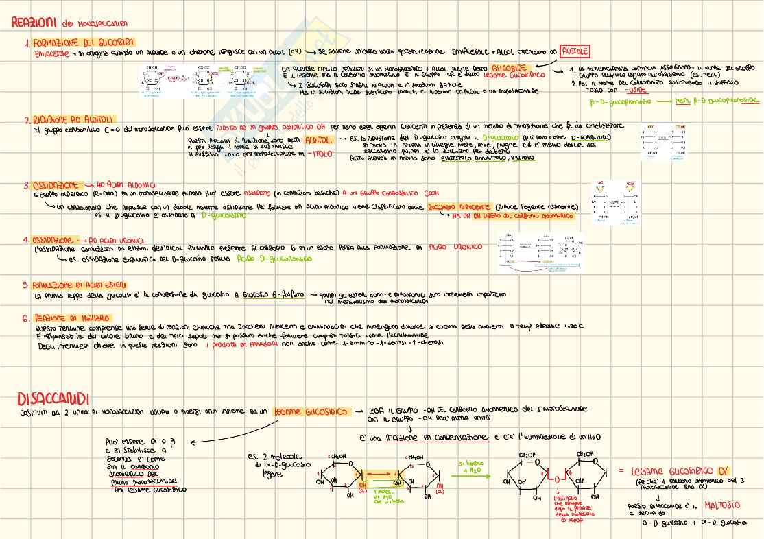 Appunti Propedeutica biochimica Pag. 2